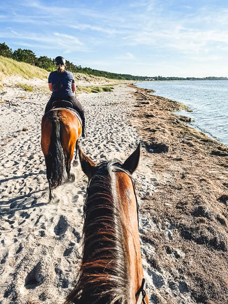 in der Untergehenden Sonne reiten 2 Pferde mit Reiter:innen den Strand von Lubmin entlang
