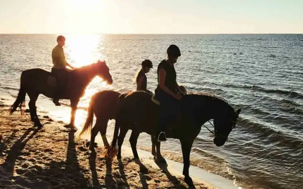 Reiten in Lubmin: Pferdefreuden an der Ostsee